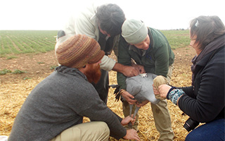 PROTECTING CRANES THROUGH TRACKERS