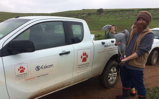 MORE CRANES FITTED WITH RINGS, TRACKERS